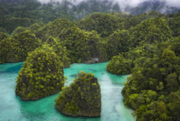 West Papua, Kaimana, Triton Bay 2026 (23/41)